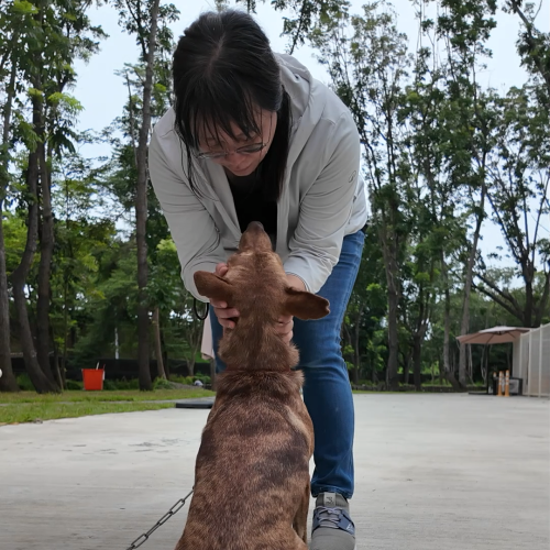 志工小魚訓練紀錄 的照片