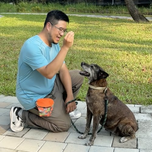 瓦斯愛上阿棠 的照片