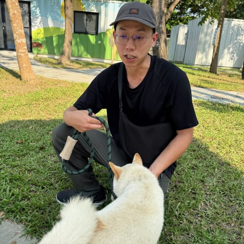 Leo 訓練師訓練帶白柴 的照片