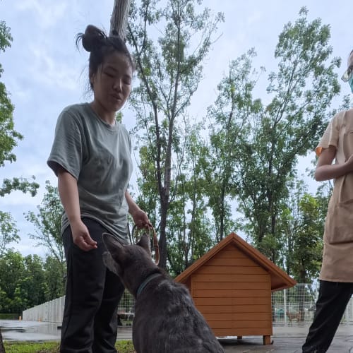 采妤訓練師的評估 的照片