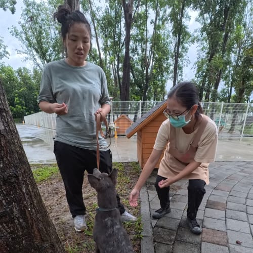 采妤訓練師的評估 的照片