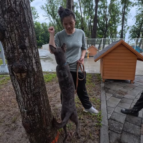 采妤訓練師的評估 的照片