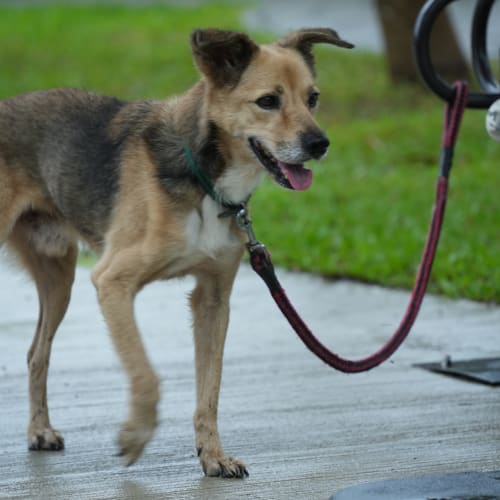 采妤訓練師筆記 的照片