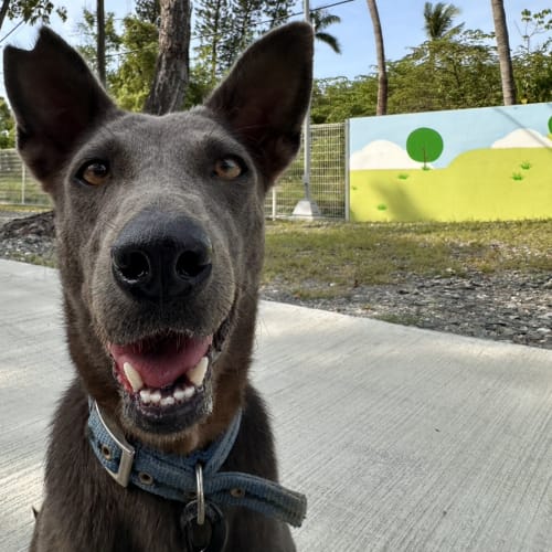 牙醫幫我檢查一下牙齒 的照片