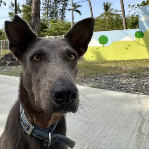 牙醫幫我檢查一下牙齒 的照片