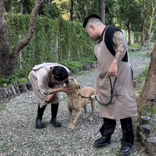 柴茶小劇場～ 的照片