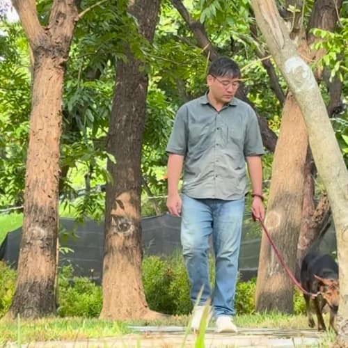 韓吉散步跟湖邊休息 的照片