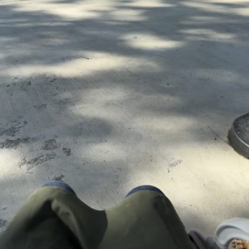 柴茶餵食秀 的照片