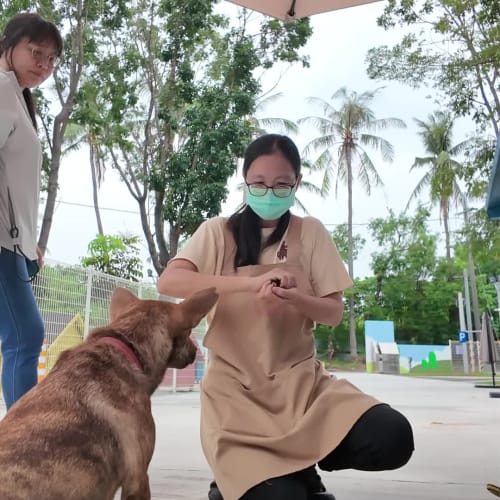 志工小魚訓練紀錄 的照片