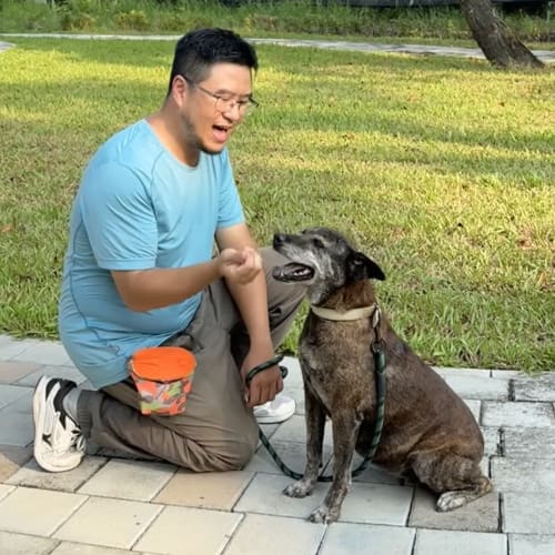 瓦斯愛上阿棠 的照片