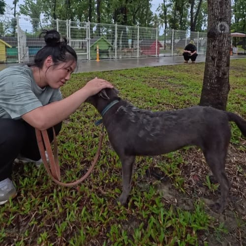 采妤訓練師的評估 的照片