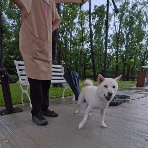 采妤訓練師的筆記 的照片