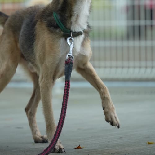 采妤訓練師筆記 的照片