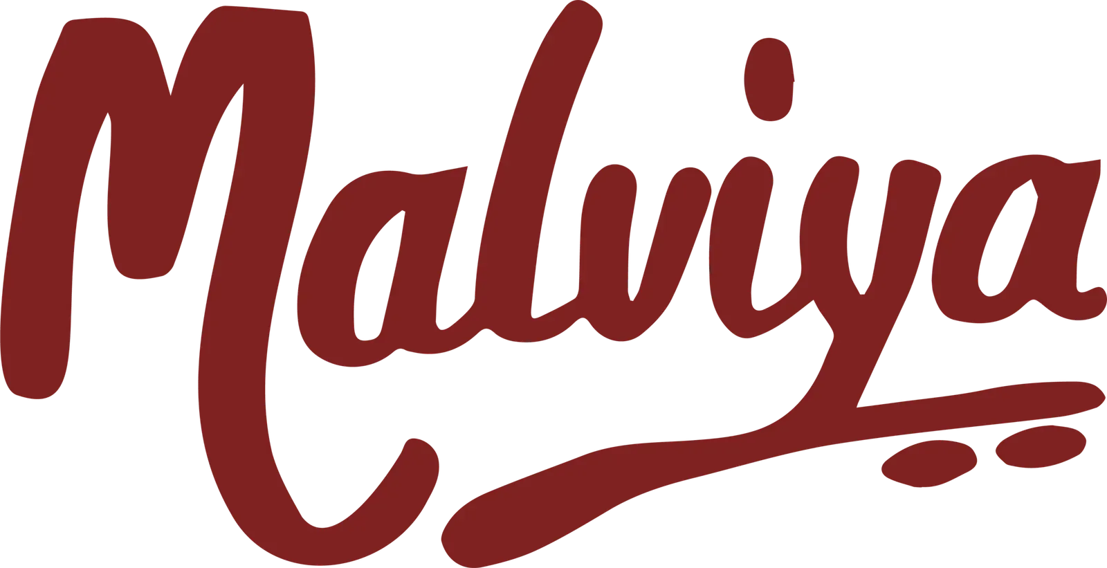Malviya Store