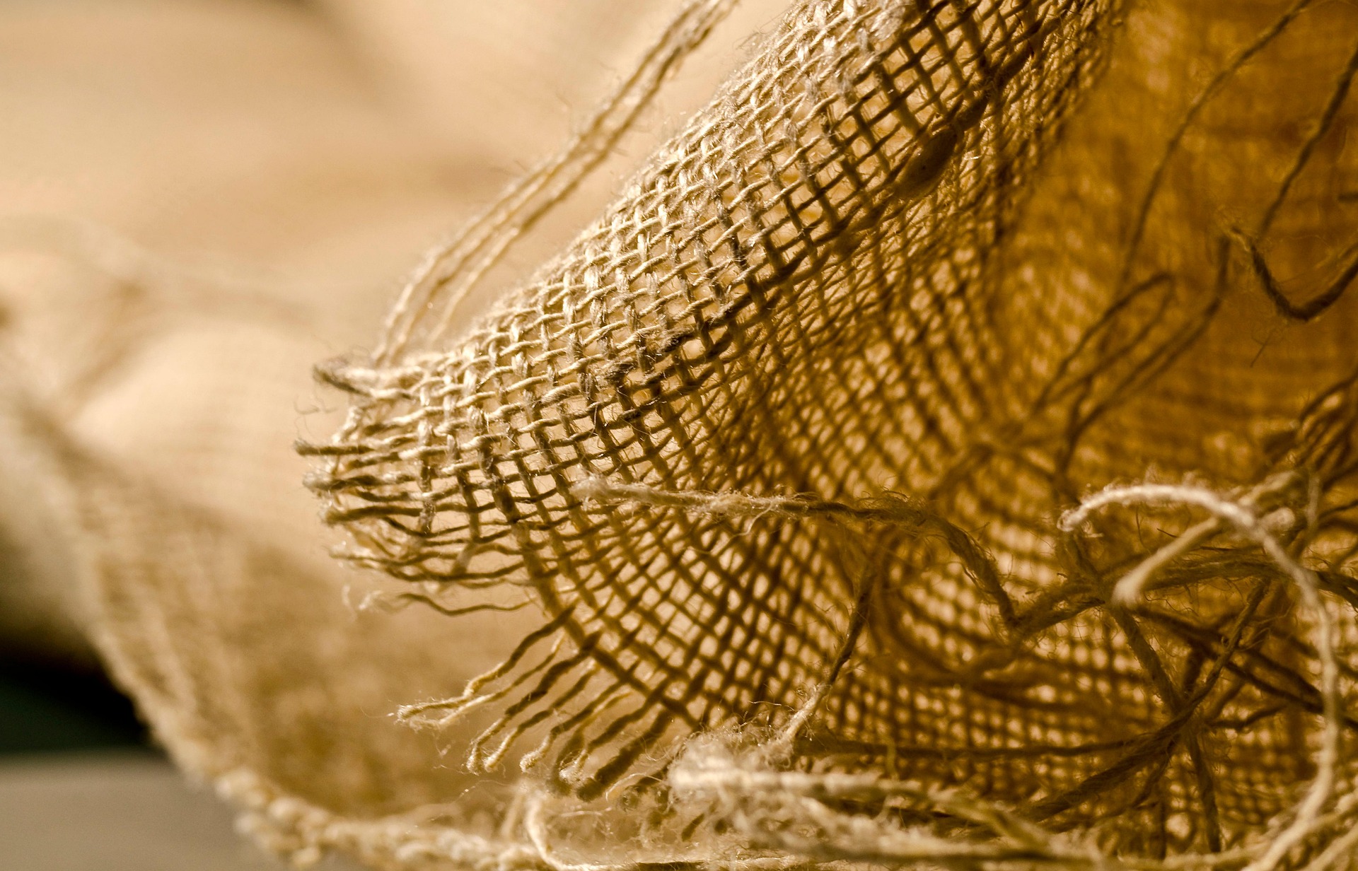 Pourquoi les produits artisanaux tunisiens sont plus durables que l’agro-industrie