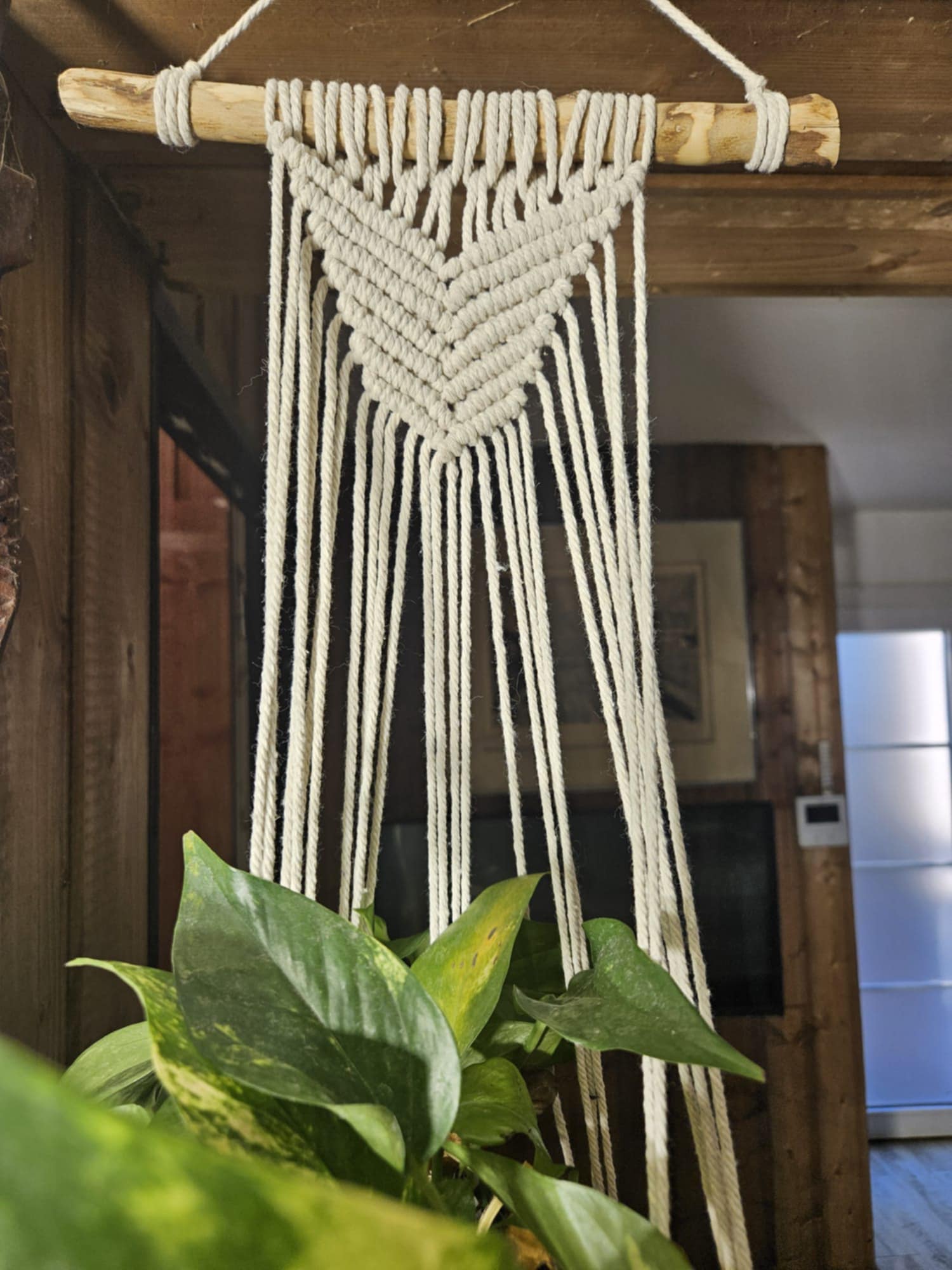 Porte-pot Décoration Murale en Macramé photo 1