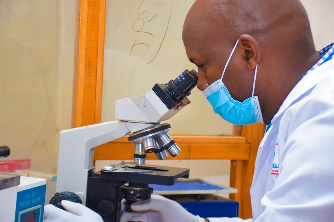Lab and Radiology