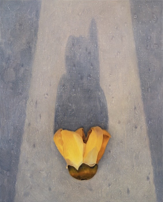 Bombax Ceiba: The Hanged Man