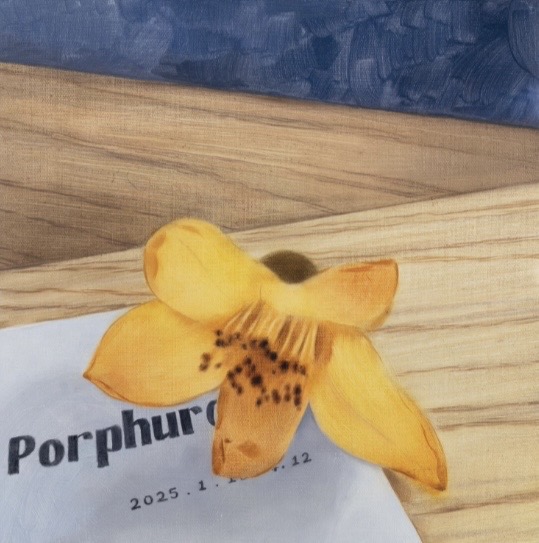 Bombax Ceiba: Good Day Bad Day