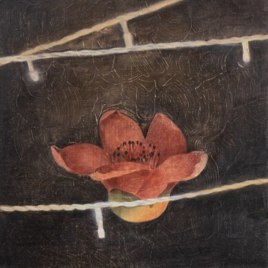 Bombax Ceiba: The Good Neighbor