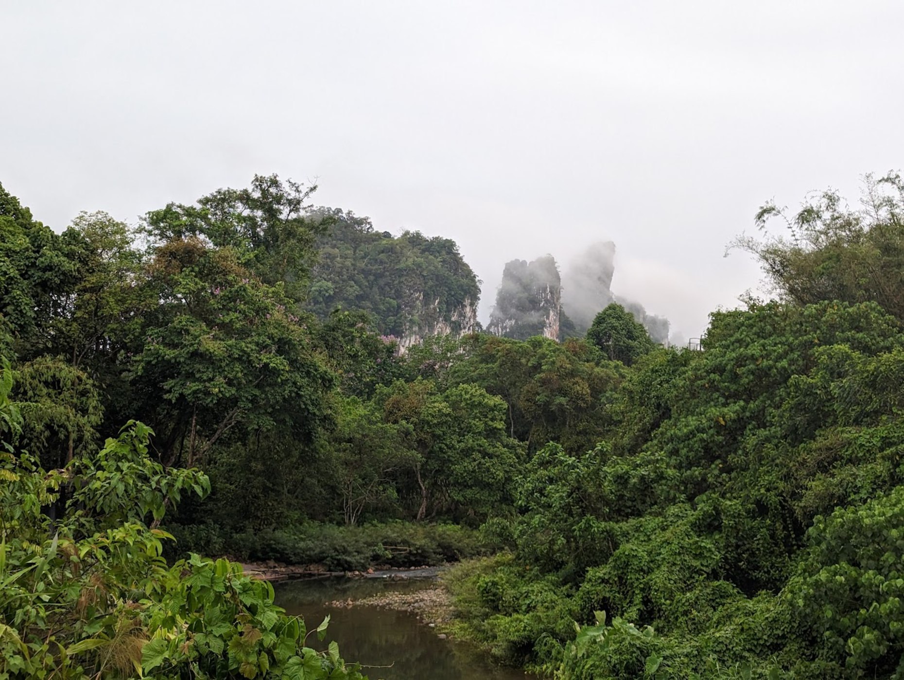 The jungles of Khao Sok