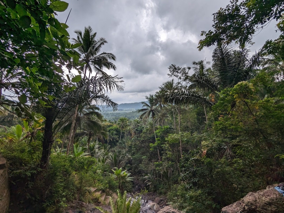Jungles around Sideman