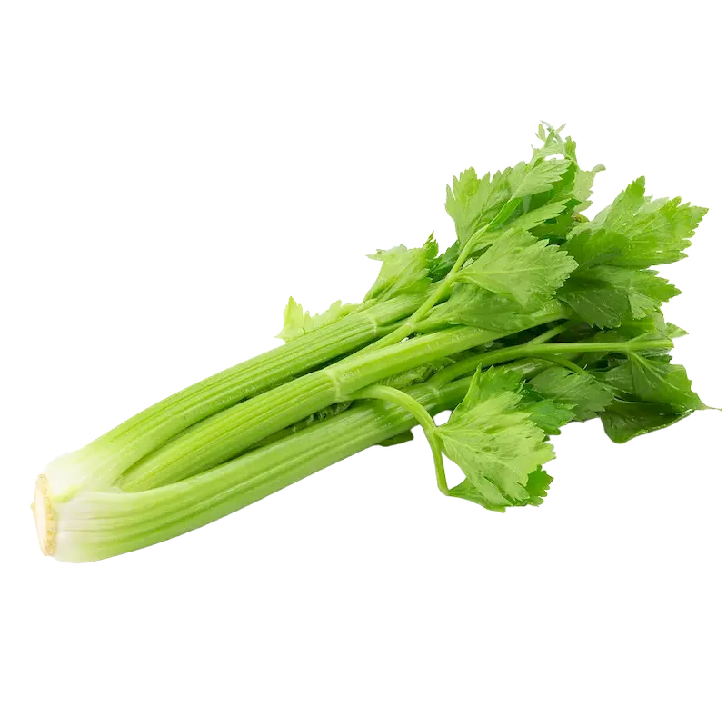 Celery