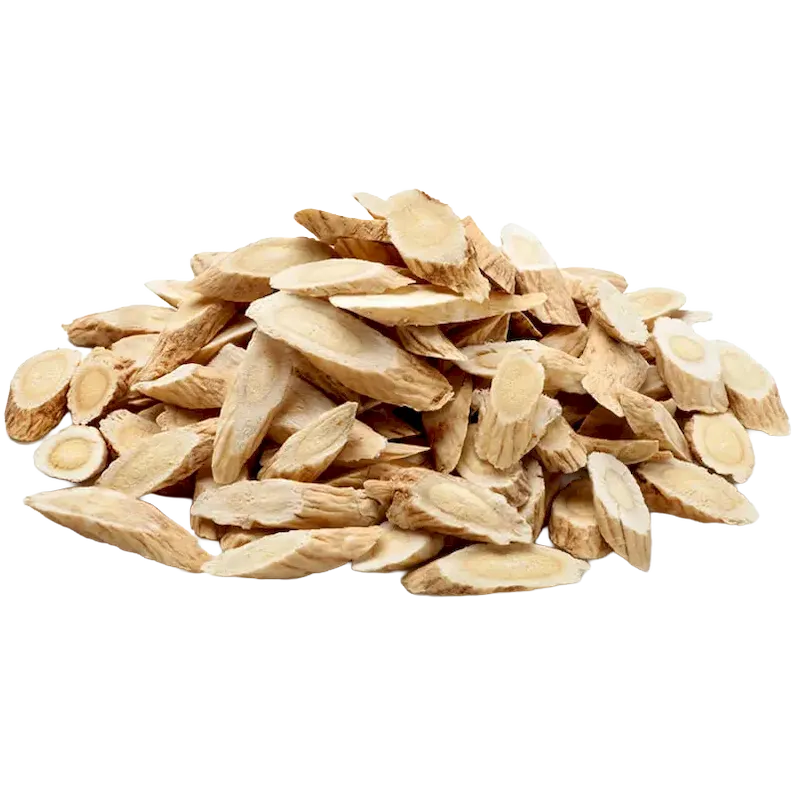 Astragalus