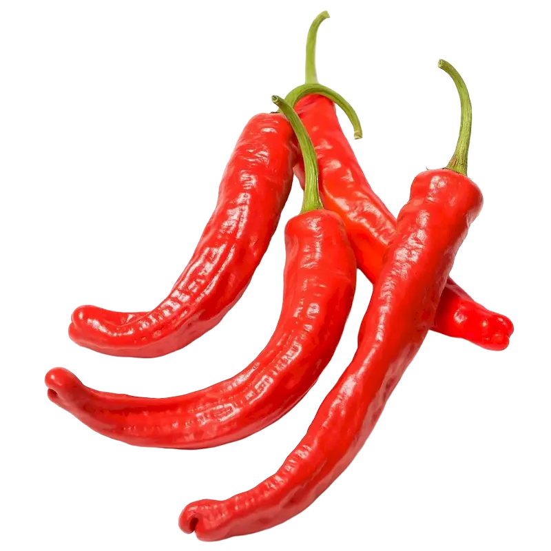 Cayenne