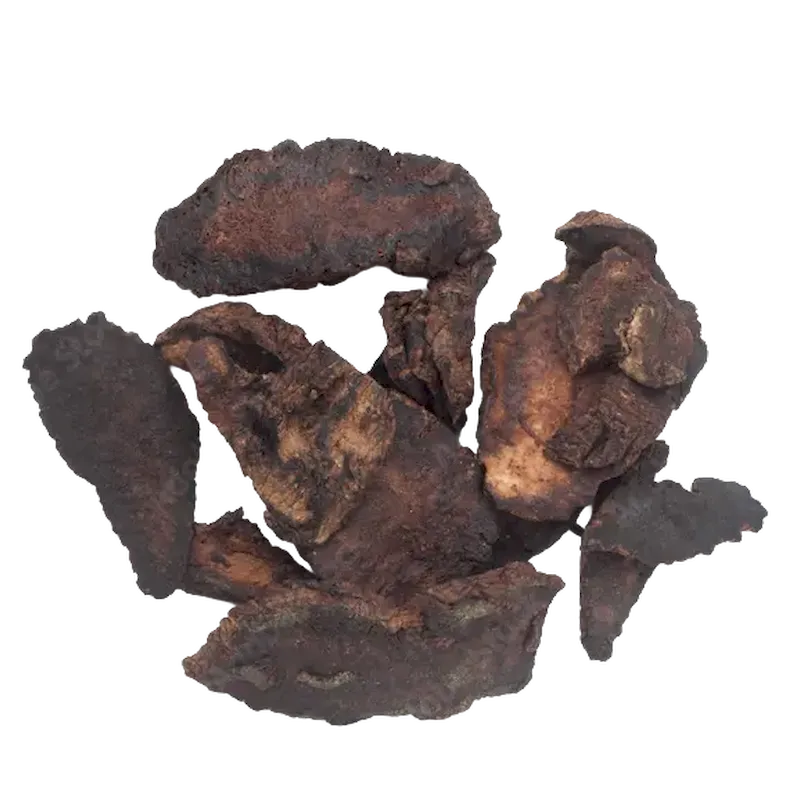 Rehmannia
