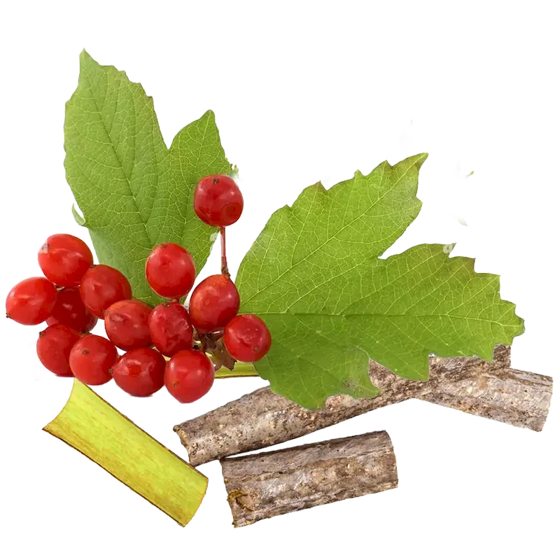 Cramp Bark