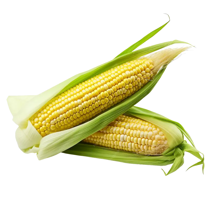 Corn