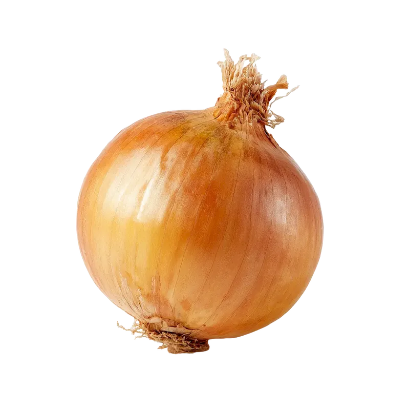 Onion