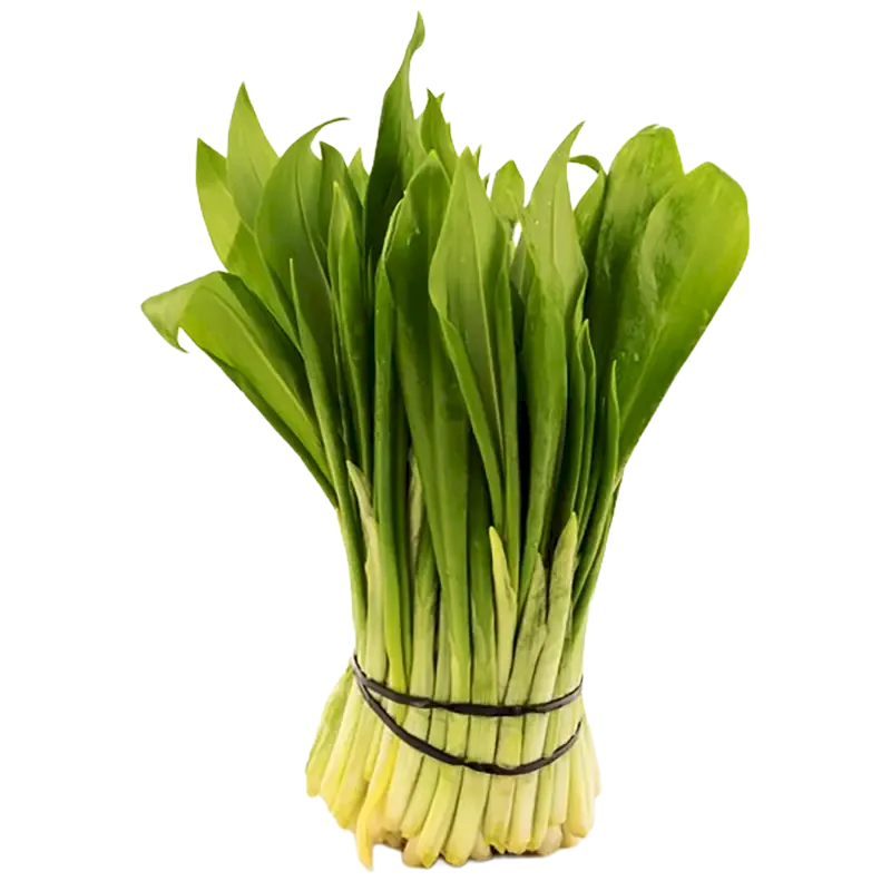 Ramsons