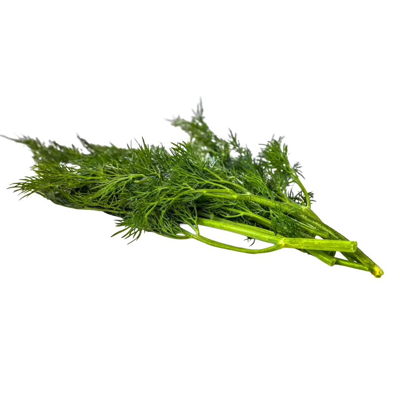 Dill