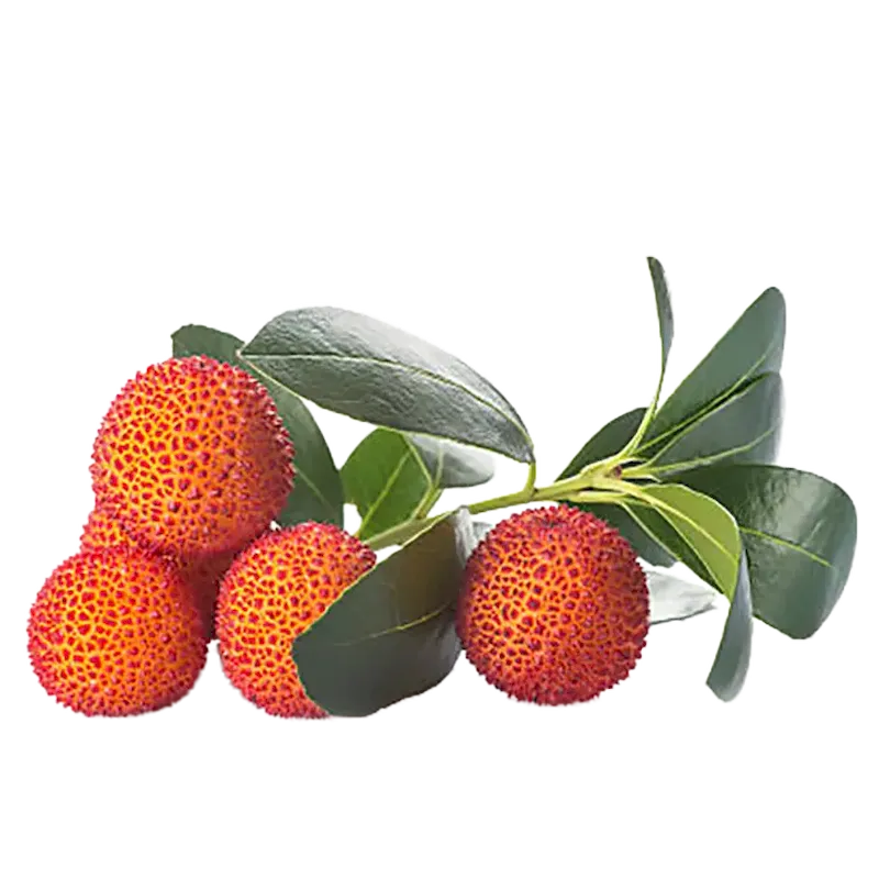 Strawberry Tree