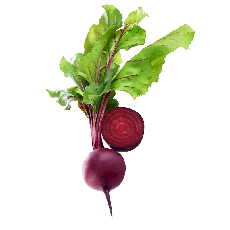 Red Beet and White Beet