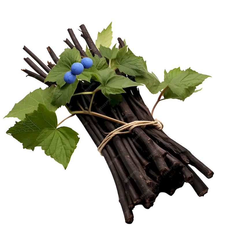 Blue Cohosh