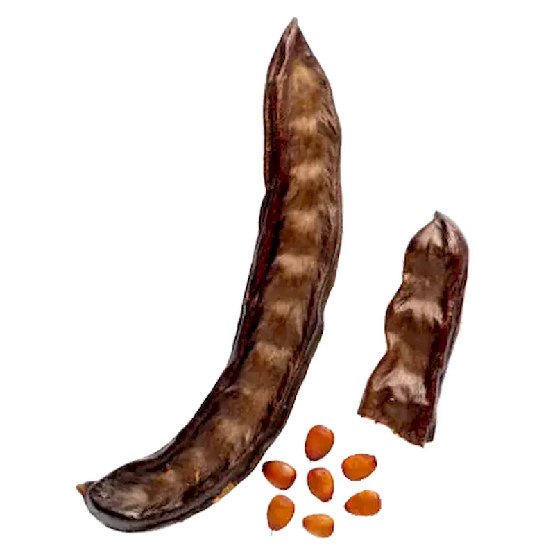 Carob