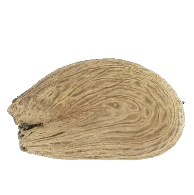 Pareira