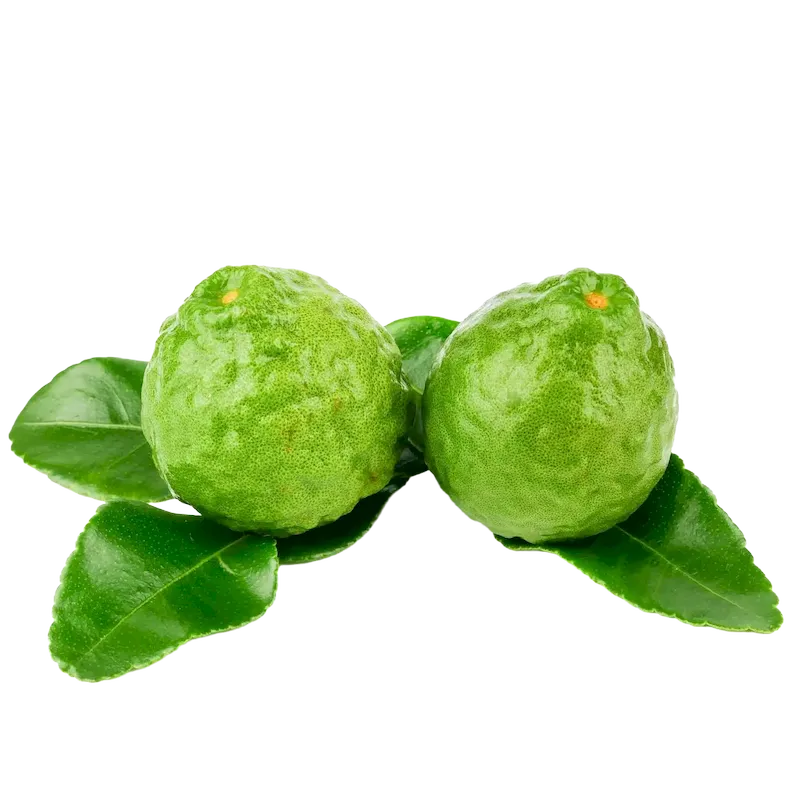 Bergamot