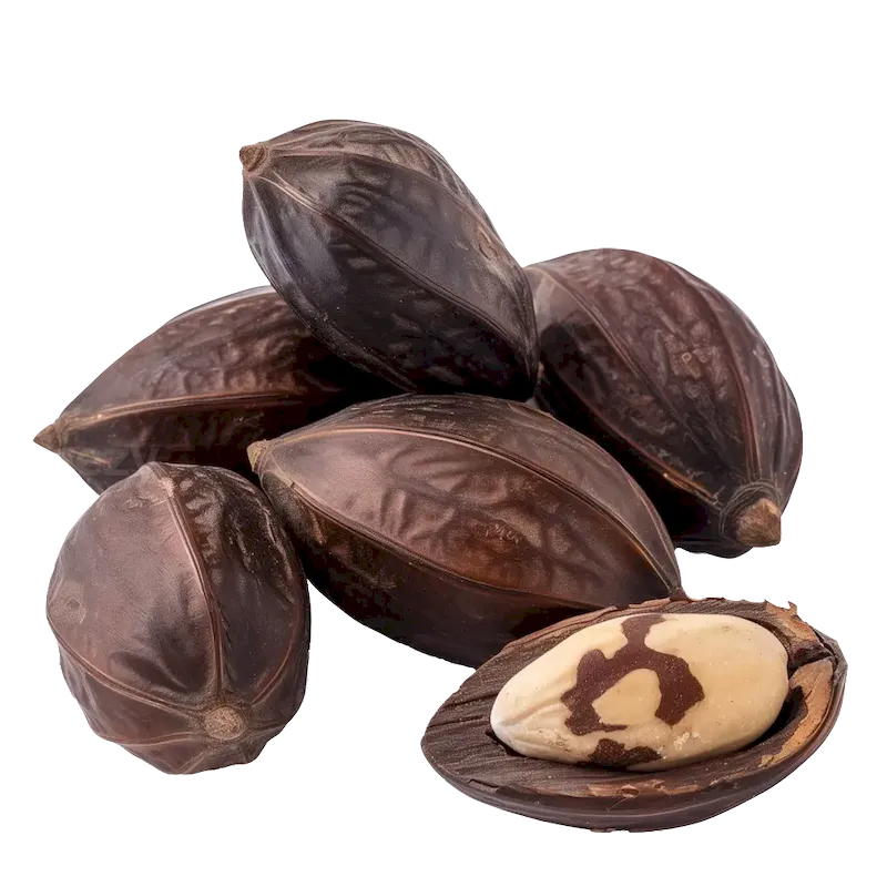 Kola Nut