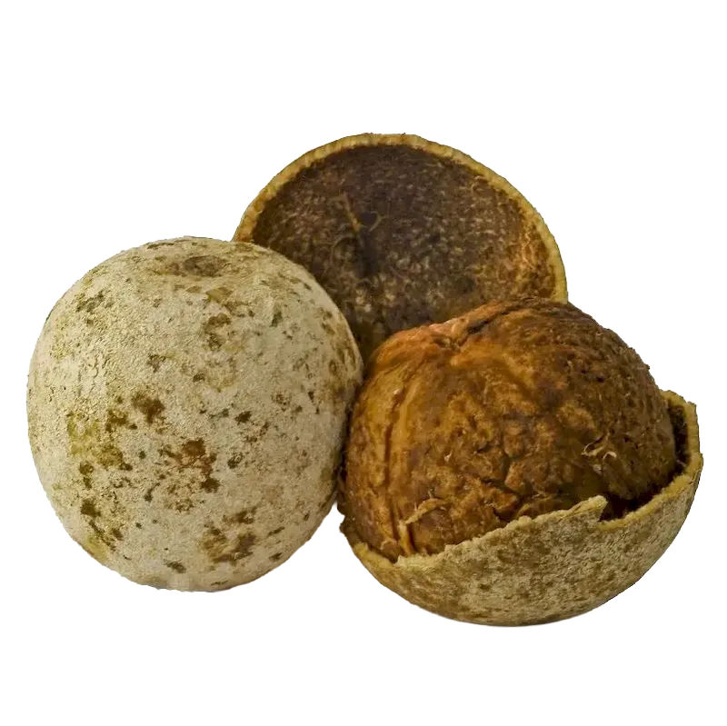 Wood Apple