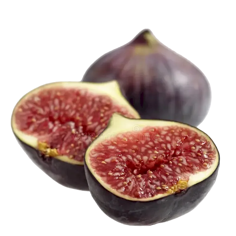 Fig