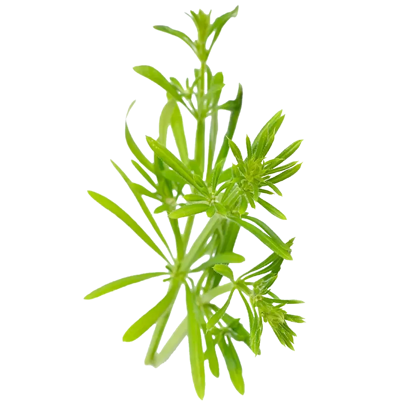 Cleavers