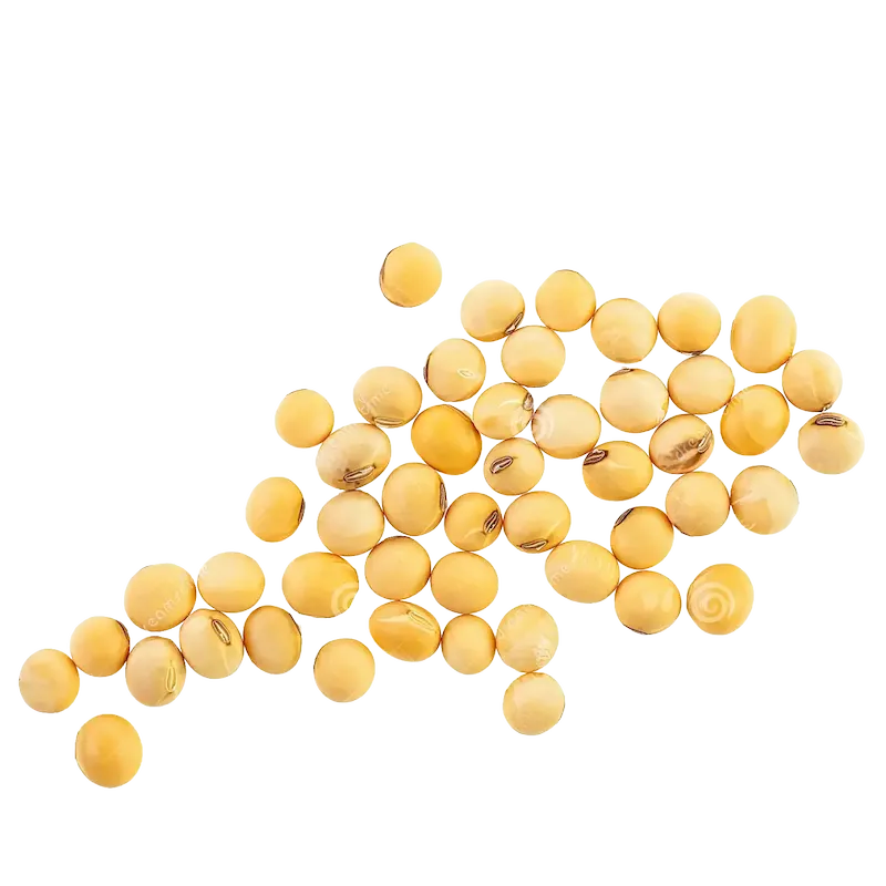 Soy
