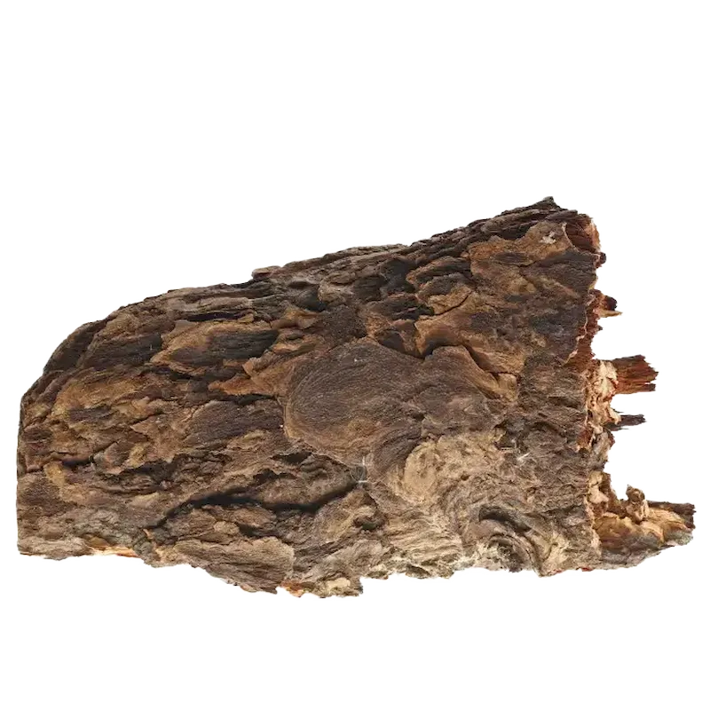 Cocillana
