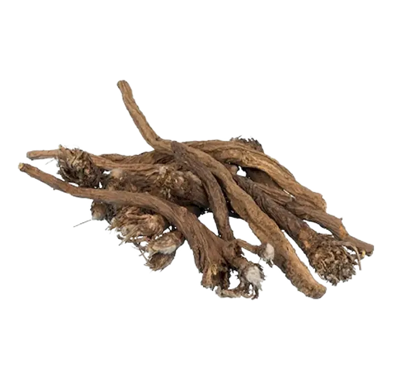 Masterwort