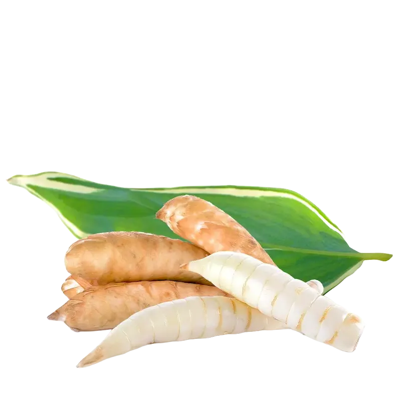 Arrowroot