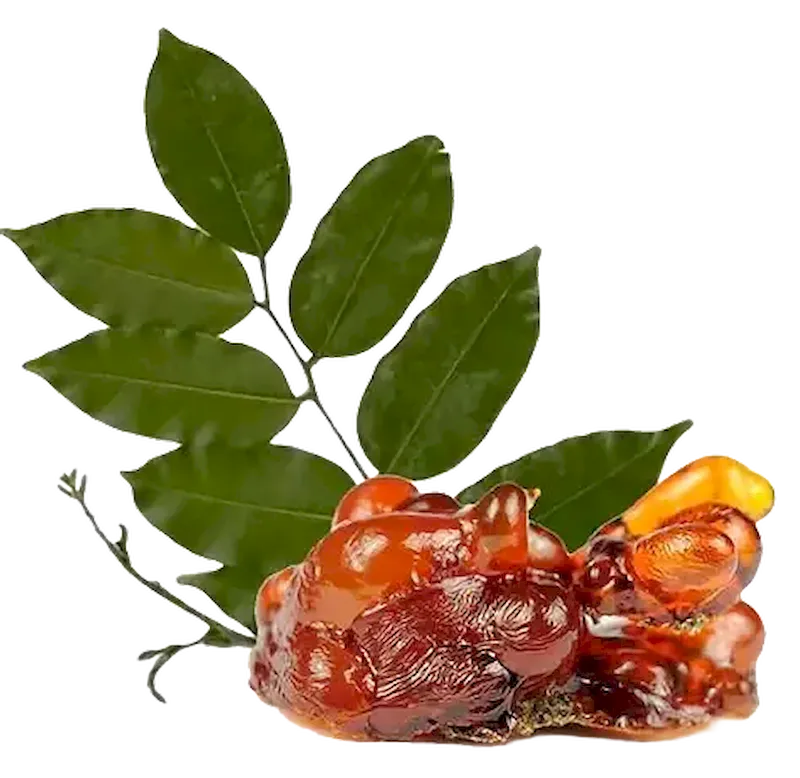 Peruvian Balsam